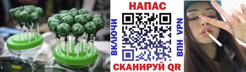 Canna-Cookies конопля  сколько стоит  ссылка на мегу зеркало  Янаул 