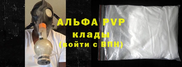 PSILOCYBIN Майский