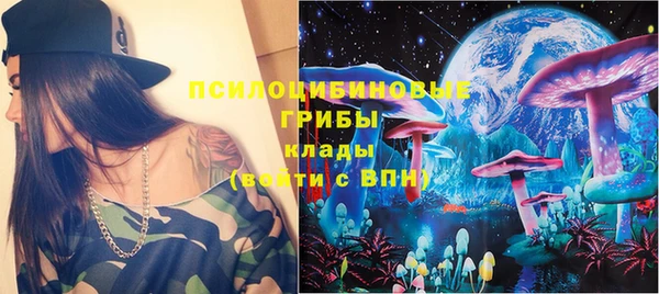 соль ск Медвежьегорск