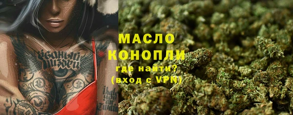 дмт Мегион