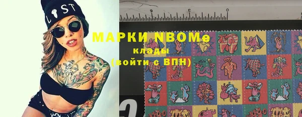 PSILOCYBIN Майский