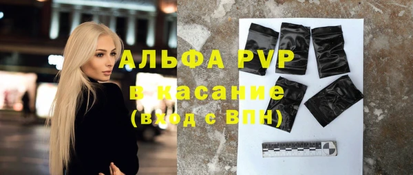 PSILOCYBIN Майский