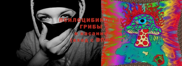 дмт Мегион