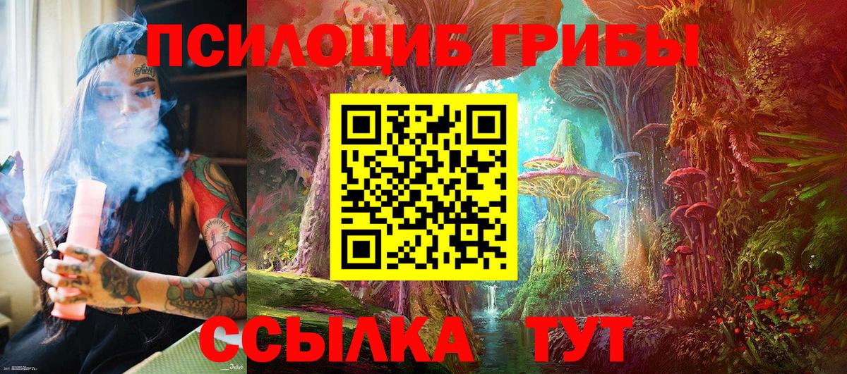 Янаул  Галлюциногенные грибы прущие грибы  Вход с VPN 
