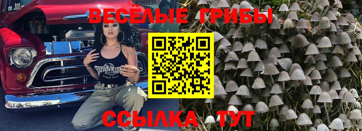 Галлюциногенные грибы мухоморы Янаул